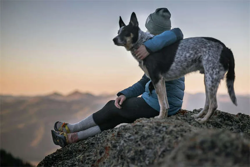 Best Puppy Food: 7 Nutrition Tips for Your Growing Dog
